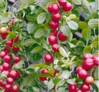 �}����ɽ���}����r(ji��)���}����a(ch��n)��