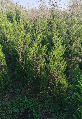 1��5��~�r��1����~2����~�r��2����~