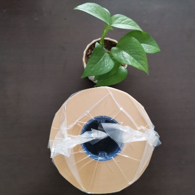 ��������˺ˎƷ���b��