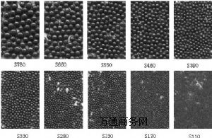 ����ɽ�|�_̩�T���