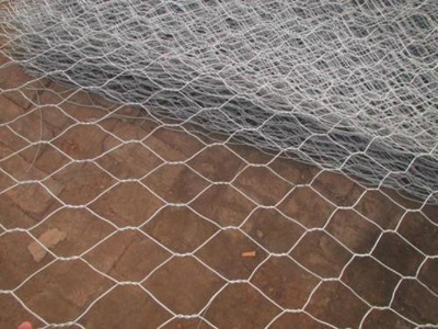 �ؑc���eʯ�\�W(w��ng) ʯ�\�W(w��ng)��