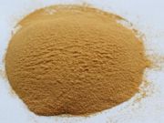 ֲ��ˮ�⵰��HVP