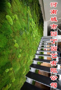 ���Ј@�����ݿ͏dֲ������OӋЧ���D-���ϳ��Ј@���@ˇ���޹�