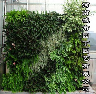 ���ϳ��Ј@���@ˇ���޹�˾_������_�Gֲ�������r��/�DƬ_����