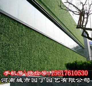 城市園丁鄭州植物墻的做法_河南城市園丁墻體綠化