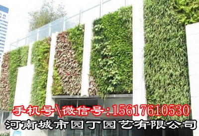 ���ݾGֲ����˾����-�O(sh��)Ӌ���G��