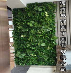 ���ϳ��Ј@��_������_ֲ�����,��ֱ�G��