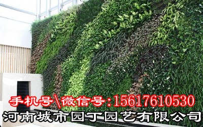 ����ֲ�����������-���ϳ��Ј@���@ˇ���޹�˾