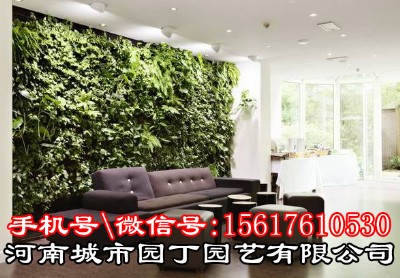 ��������ֲ�ʩ���r��-���ϳ��Ј@���@ˇ���޹�˾