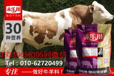 ��ţι��ϵķ���Сţ�L�����A����