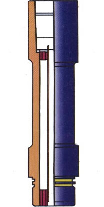 �p���ĳ��͗U����ʾ��D