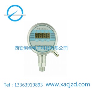 SYB-351���ܔ��ַ����͉���������2·�^���ݔ�������_�P