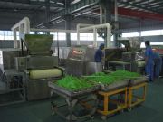 �Ϻ�����CS-SD΢����������C(j��)