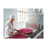 ����΢�����~�����O(sh��)��