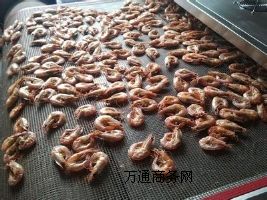 �����Ϻ�����CS-SD�~�r΢������C