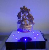 ���ڏS��ֱ�N�őҸ��u�X��őҸ���ˇƷ