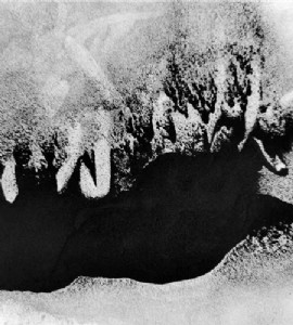 ��ꖷ۠����̿�S�҃r�� ��ˮ̎��Óɫ����