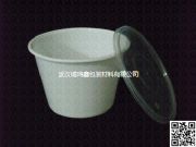 2000ml�w���(�D)