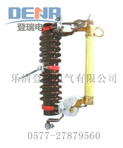 ����(y��ng)RW11-10/100,RW11-10/100�F(xi��n)؛����(y��ng)