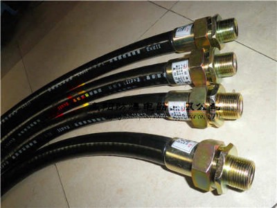 �����Aꖷ���bng���������B�ӹ�