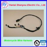 Ħ��܇����ϴ�C����ע�ܼӹ�