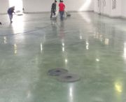 ���������ؑc����ɰ��ƺ��