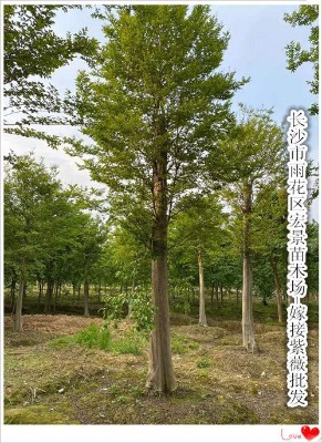 ��(y��u)�ݵĺ�����ޱ�r(ji��)��-�g�(y��ng)�޽���ޱ-Ҏ(gu��)���Rȫ�Ϻ꾰