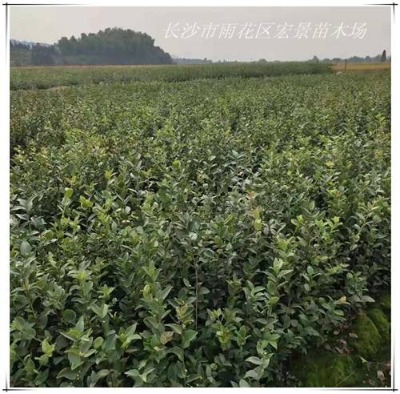 ���Դ��N�Ͳ���-�����Ͳ���r�񃞻�-�Lɳ�Ͳ���˦�u�Ϻ꾰