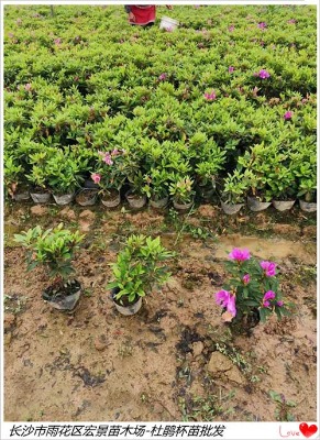 ���ϴ��N����-�gꖶ��NС��-���ϴ��NСë��ȫ����u