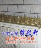 ���{��C���I���Lɳ����������̶������