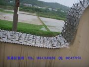 �������I���Lɳ�ڗU�řڷ�����