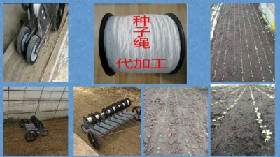 �N���K  ���N�K  �����K���������L�׾��C