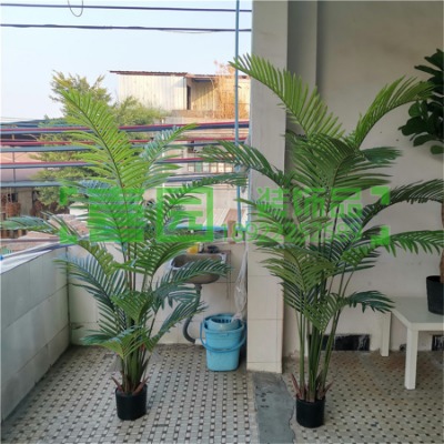 ����ֲ������Pβ��