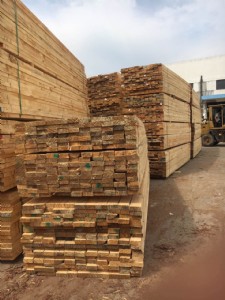 �S��ֱ�N��ݗ����ľ����������������ľ