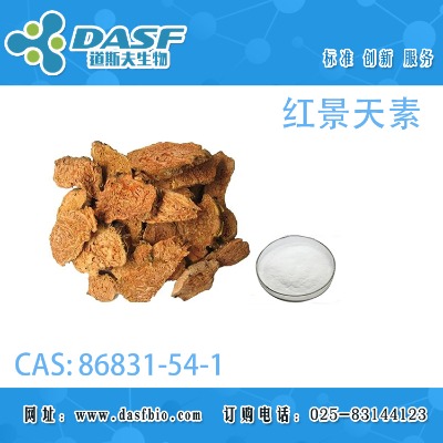 �t������