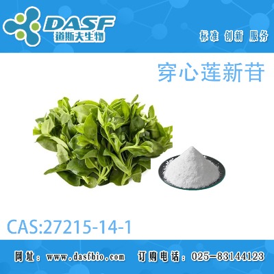 ����ɏ����