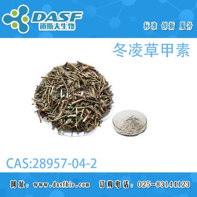 ����ݼ���