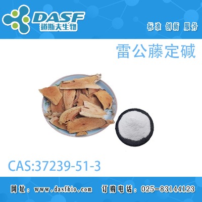 �׹��ٶ��A