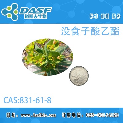 �]ʳ��������