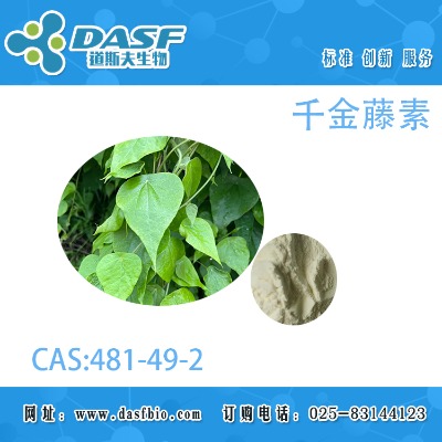 ǧ������