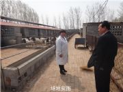 ������h�Ų�������X