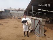 ʮ���жŲ��d���r