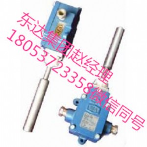 gej30�V����ƫ������,Ƥ���C������ƫ������