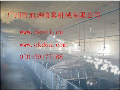 �����Fϵ�y�����F���C�Fɭ���^