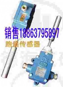 �������r�� GEJ30��ƫ�������S��