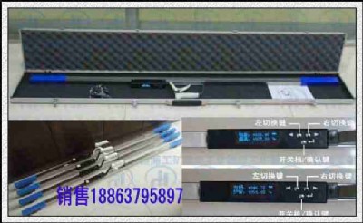 ܉��ߵ���; ܉��߃r�񌍻� �S�҃��|��