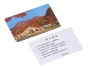 ���܏S������IC���ܿ� M1�� ����ͣ܇���Б�IC��