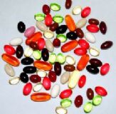 ܛ�z�Ҵ��ӹ���ܛ�z�Ҍ��I�ӹ��S��(�D)