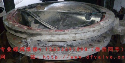 ���y�S��    ���͵��y�S��