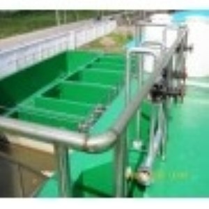 ����ϵ�У����w�� ���w�� ���������̓r��